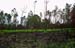 061009-DSCN0861