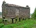 061010-DSCN0877